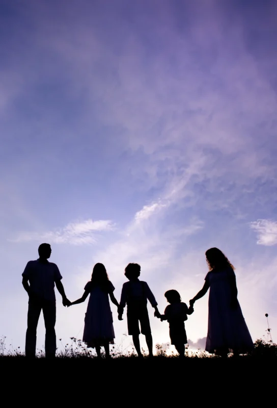 aile dizimi